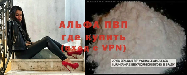 прущие грибы Горнозаводск