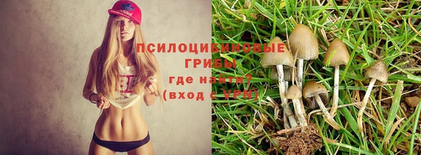a pvp Горно-Алтайск
