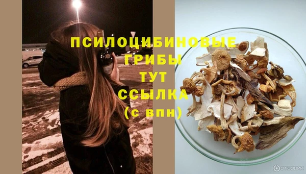 a pvp Горно-Алтайск