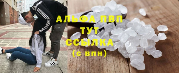 прущие грибы Горнозаводск