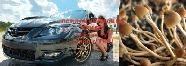 прущие грибы Горнозаводск