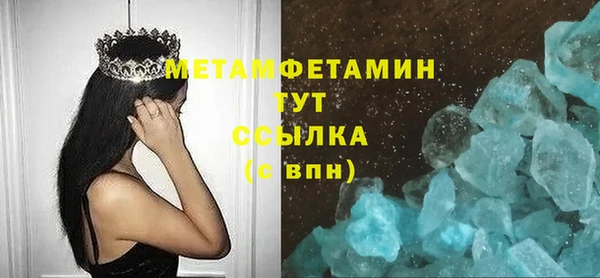 прущие грибы Горнозаводск