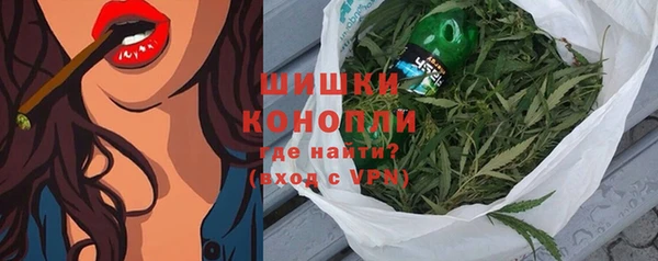 прущие грибы Горнозаводск