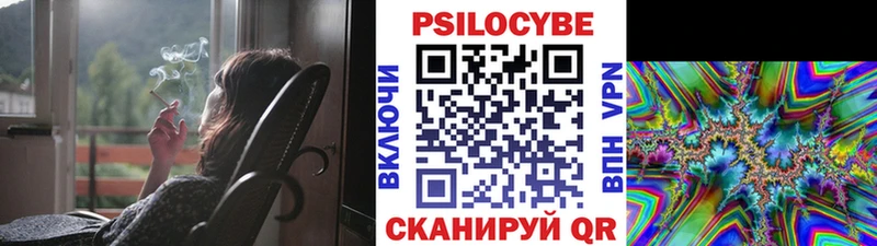 Псилоцибиновые грибы Psilocybe  Купить где  Макушино 